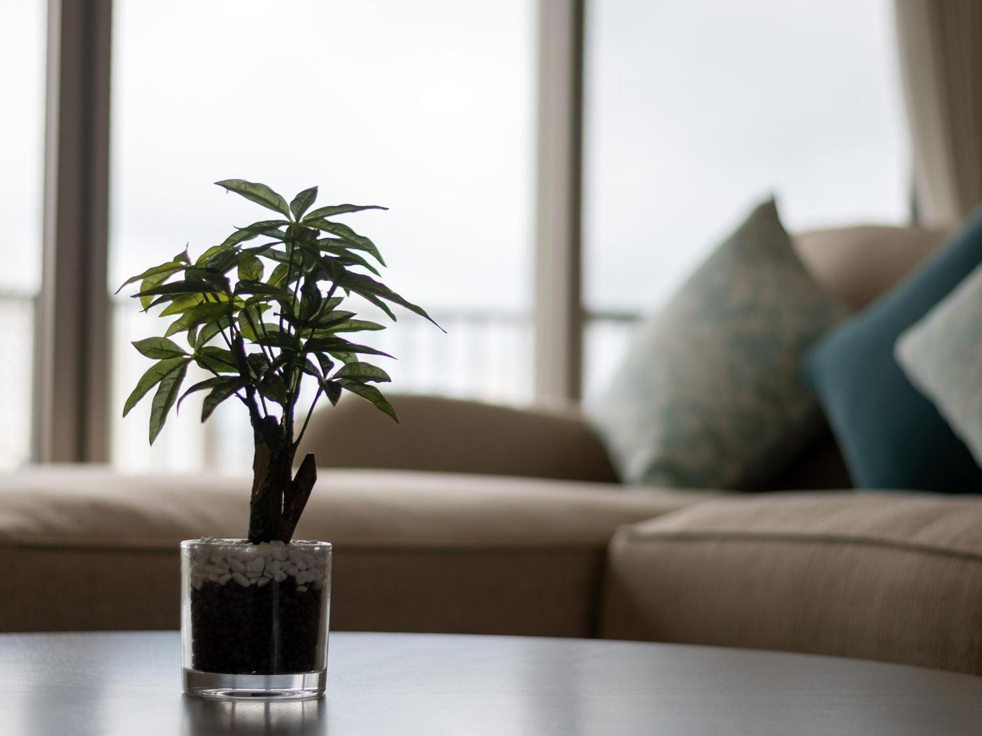 Cozy Stay In Naha Eksteriør bilde
